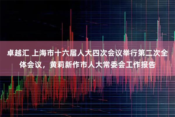 卓越汇 上海市十六届人大四次会议举行第二次全体会议，黄莉新作市人大常委会工作报告