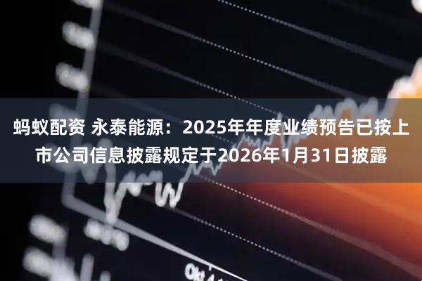 蚂蚁配资 永泰能源：2025年年度业绩预告已按上市公司信息披露规定于2026年1月31日披露